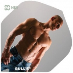 Letky Bulls Erotic 52616